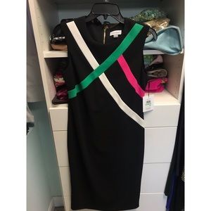 *NWT* Calvin Klein Sleeveless Sheath Dress, size 8